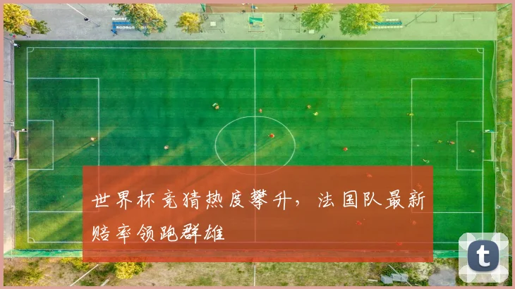 世界杯竞猜热度攀升,法国队最新赔率领跑群雄