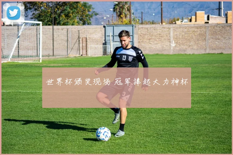 世界杯颁奖现场 冠军捧起大力神杯